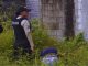 Hallan ocho cadáveres en zona rural de Buena Fe, provincia de Los Ríos