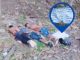 Hallan tres hombres asesinados en el recinto Buena Fe en Yaguachi