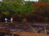 Los cadáveres de los jóvenes de Pedro Carbo fueron hallados en Santa Elena