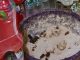 Insectos y heces de gatos junto a los productos en tiendas de Baba