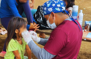 El MSP declaró alerta sanitaria en Orellana por brote de fiebre amarilla
